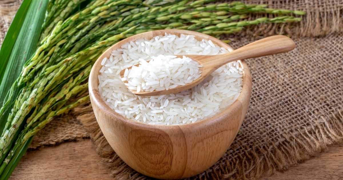 7分づき米で血糖値は上がりにくい?白米との違いを食べ方まで整理!